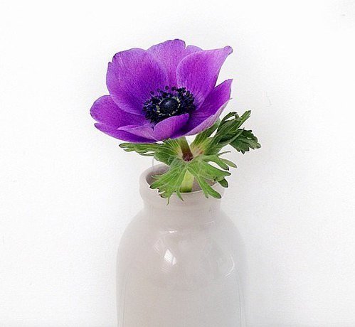 Những cách đơn giản để cắm hoa đẹp(10)