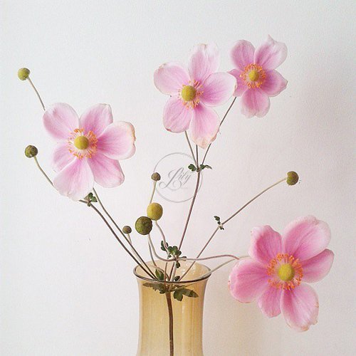 Những cách đơn giản để cắm hoa đẹp(5)
