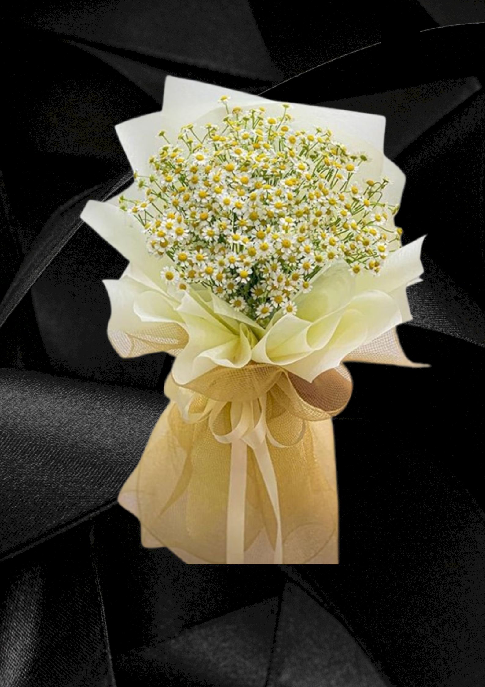 Bó hoa cúc tana xinh xắn - LDNK105